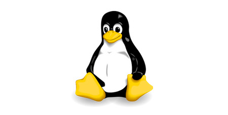 linux เว็บโฮสติ้ง ฟรีโดเมนเนม - Linux web-hosting-thailand-free domain-advanceplan-banner